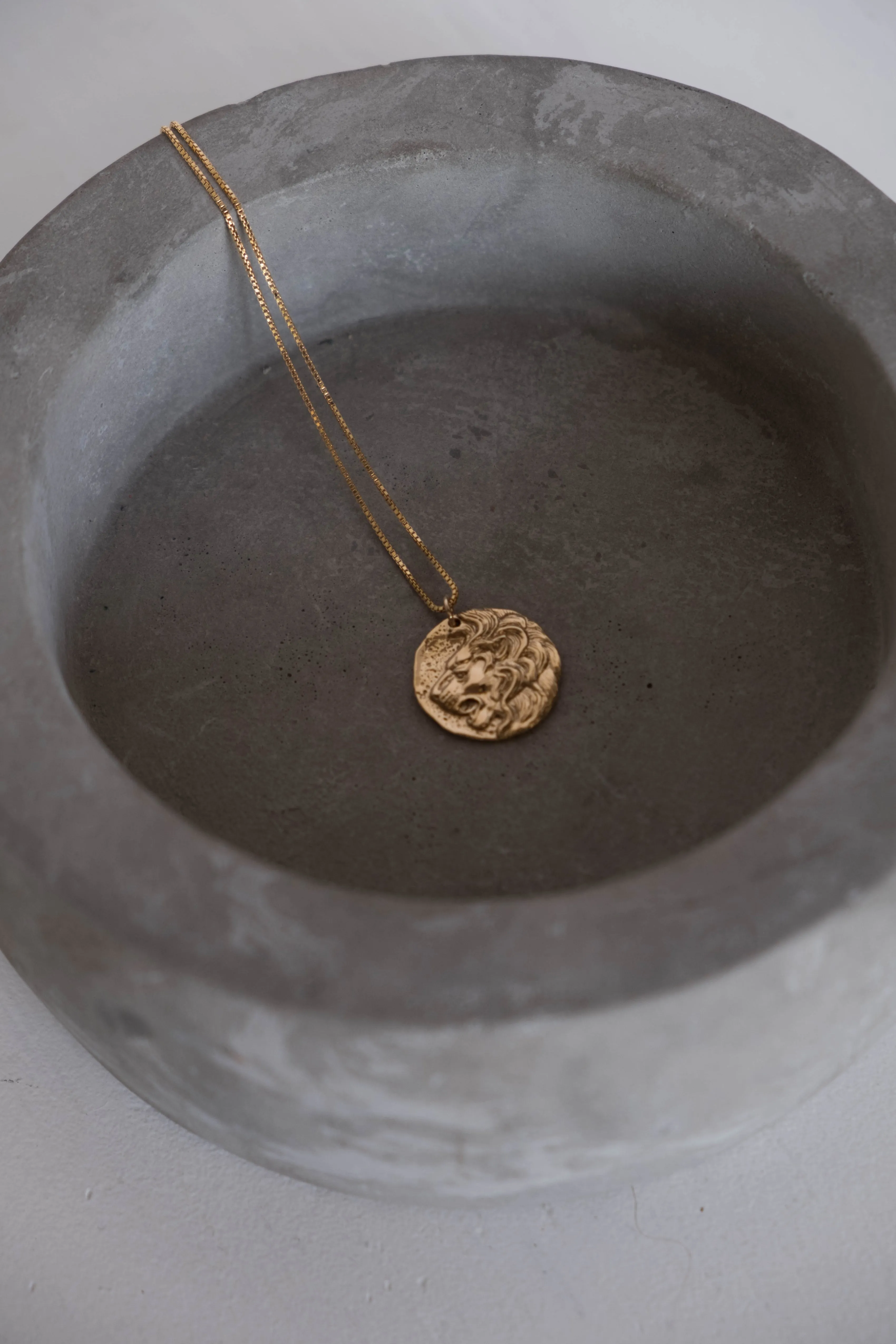 Lion Coin Necklace